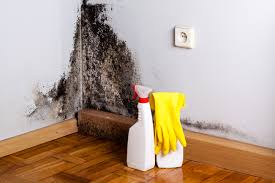 Best Mold Prevention Services  in Rice Lake, MN